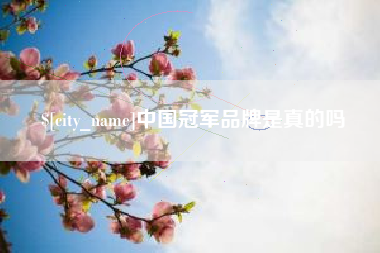 合肥中国冠军品牌是真的吗