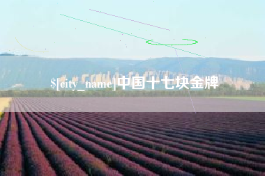 合肥中国十七块金牌