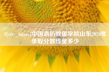 合肥中国消防救援学院山东2020年录取分数线是多少