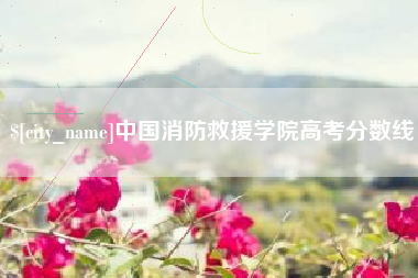 合肥中国消防救援学院高考分数线