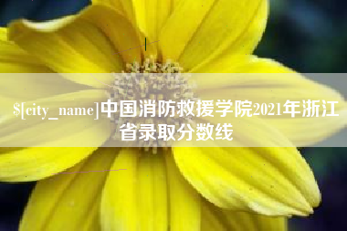合肥中国消防救援学院2021年浙江省录取分数线