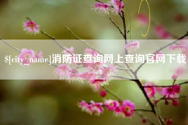 合肥消防证查询网上查询官网下载