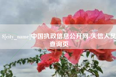 合肥中国执政信息公开网-失信人员查询页