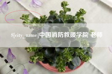 合肥中国消防救援学院 老师