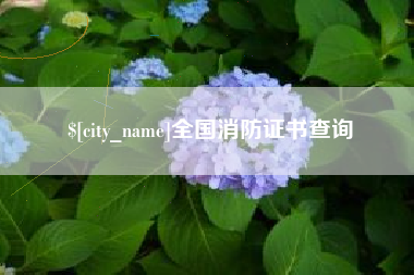 合肥全国消防证书查询
