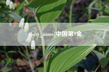 合肥中国第9金