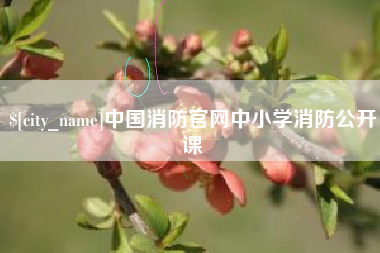 合肥中国消防官网中小学消防公开课