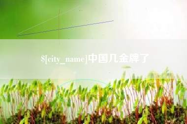 合肥中国几金牌了