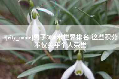 合肥男子5000米世界排名-这些积分不仅关乎个人荣誉