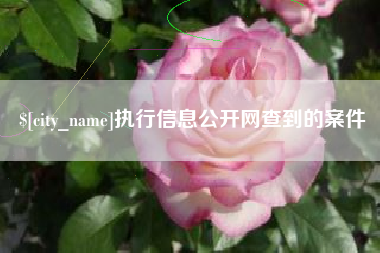 合肥执行信息公开网查到的案件