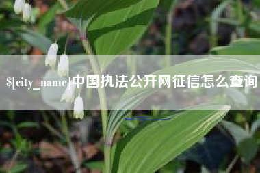 合肥中国执法公开网征信怎么查询