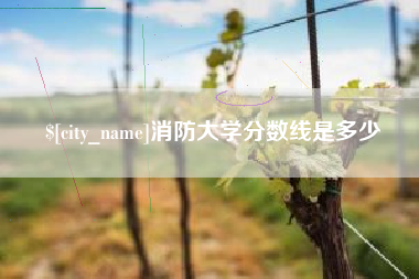 合肥消防大学分数线是多少