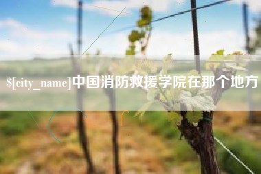 合肥中国消防救援学院在那个地方