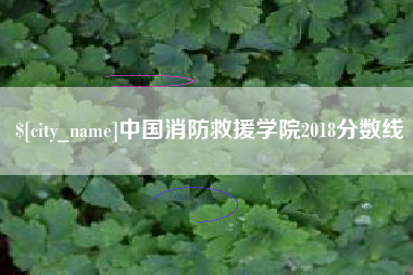 合肥中国消防救援学院2018分数线
