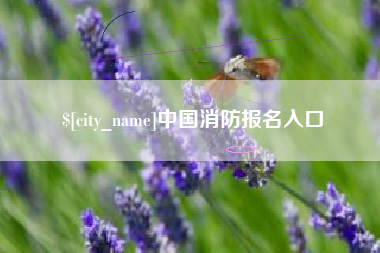 合肥中国消防报名入口