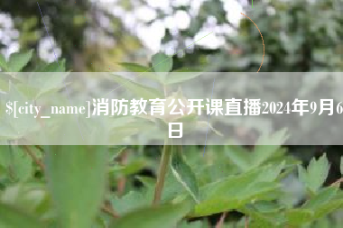 合肥消防教育公开课直播2024年9月6日