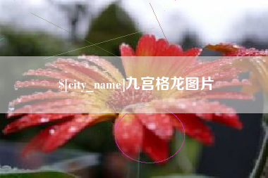 合肥九宫格龙图片