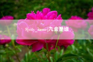 合肥九金是谁