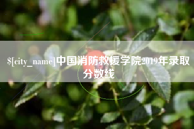 合肥中国消防救援学院2019年录取分数线
