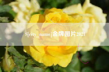 合肥金牌图片2021