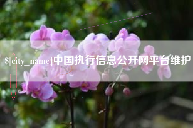 合肥中国执行信息公开网平台维护