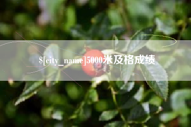 合肥5000米及格成绩
