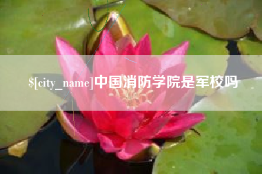 合肥中国消防学院是军校吗