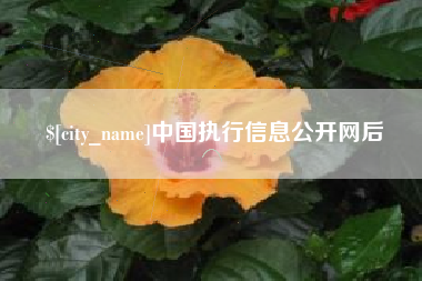合肥中国执行信息公开网后