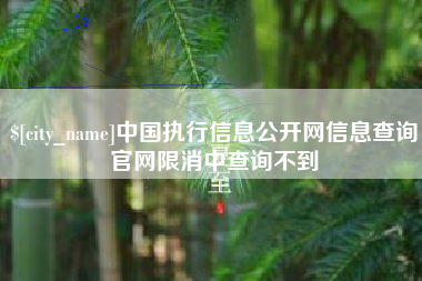 合肥中国执行信息公开网信息查询官网限消中查询不到