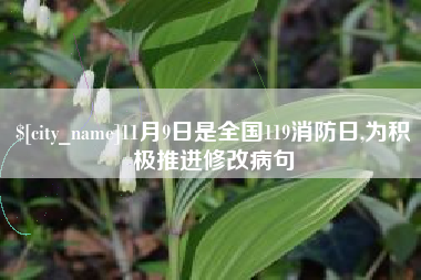合肥11月9日是全国119消防日,为积极推进修改病句