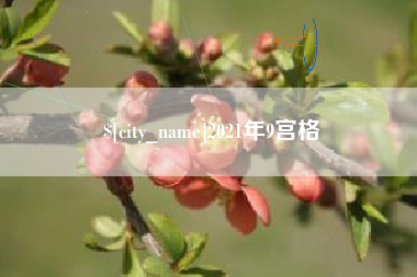 合肥2021年9宫格