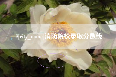 合肥消防院校录取分数线