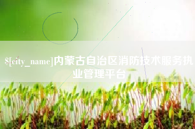合肥内蒙古自治区消防技术服务执业管理平台