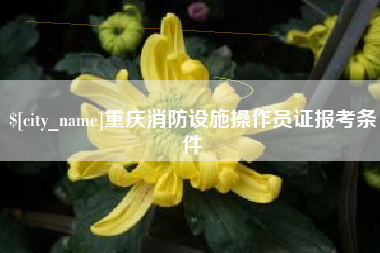 合肥重庆消防设施操作员证报考条件