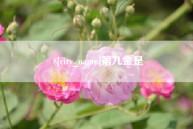 合肥第九金是