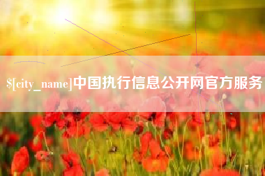 合肥中国执行信息公开网官方服务