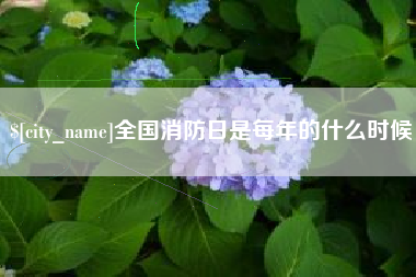 合肥全国消防日是每年的什么时候