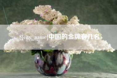合肥中国的金牌有几名