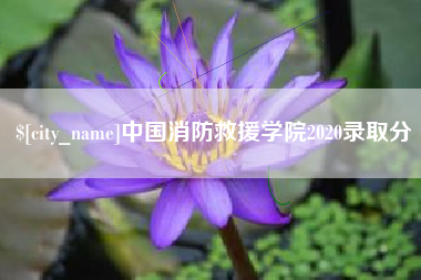 合肥中国消防救援学院2020录取分