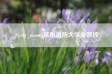 合肥河南消防大学分数线