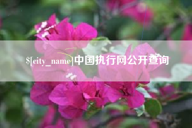 合肥中国执行网公开查询