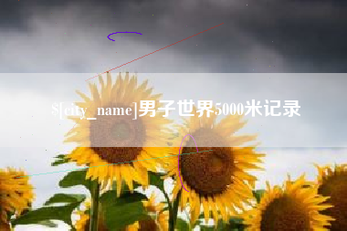 合肥男子世界5000米记录