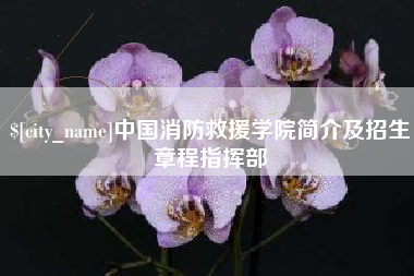 合肥中国消防救援学院简介及招生章程指挥部