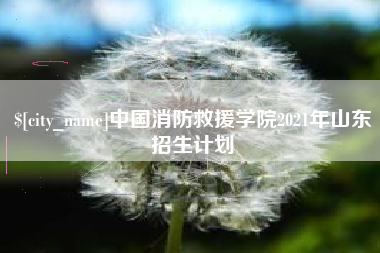 合肥中国消防救援学院2021年山东招生计划