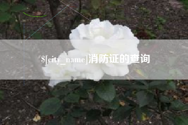 合肥消防证的查询