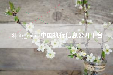 合肥中国执行信息公开平台