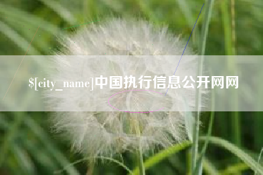 合肥中国执行信息公开网网