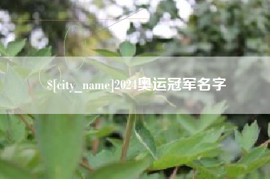 合肥2024奥运冠军名字