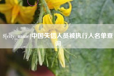 合肥中国失信人员被执行人名单查询