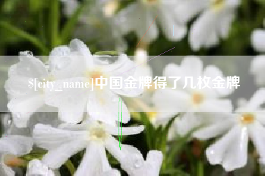 合肥中国金牌得了几枚金牌